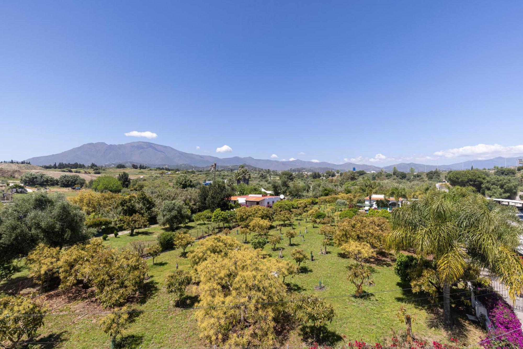 Hostal Puerta Almar Estepona Eksteriør billede